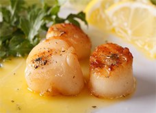 Citrus_Scallops228x165