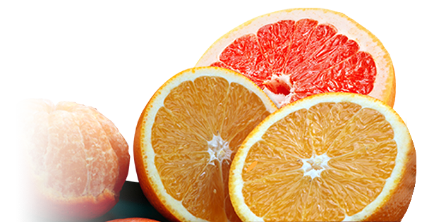 oranges-new